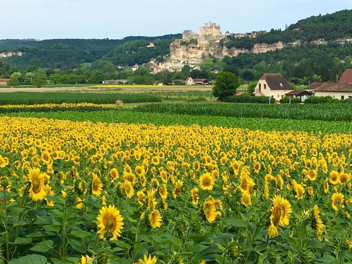 Hotel La Source, Beynac, Dordogne Exterior foto