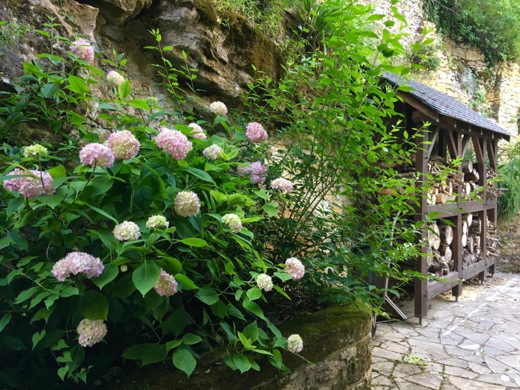 Hotel La Source, Beynac, Dordogne Exterior foto